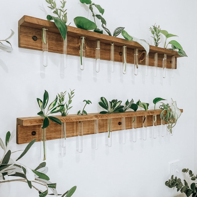 Plant shelf | propagation station | plant starter with test tubes | plant lover gift | Plant nursery