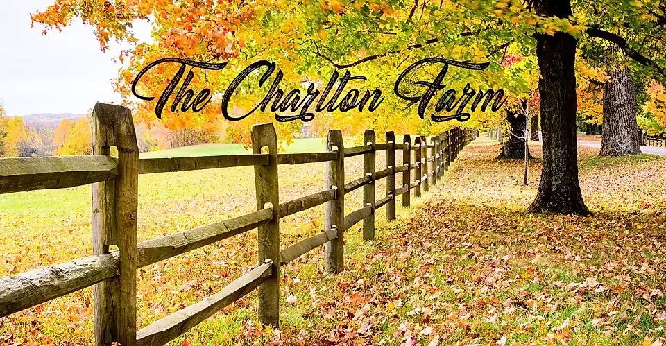 The Wedding Website of Kayla Kline and Conor Bascom