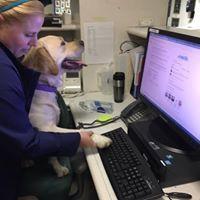 Ms. Charlotte works the night shift. On occasion you can find her helping out with some clerical entries. She does her share in keeping the records up to date!