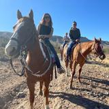 Ponderosa Stables Inc