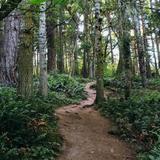 Mt. Douglas Park
