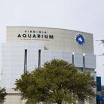 Virginia Aquarium & Marine Science Center