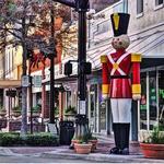 BEAUTIFUL HISTORIC DELAND!