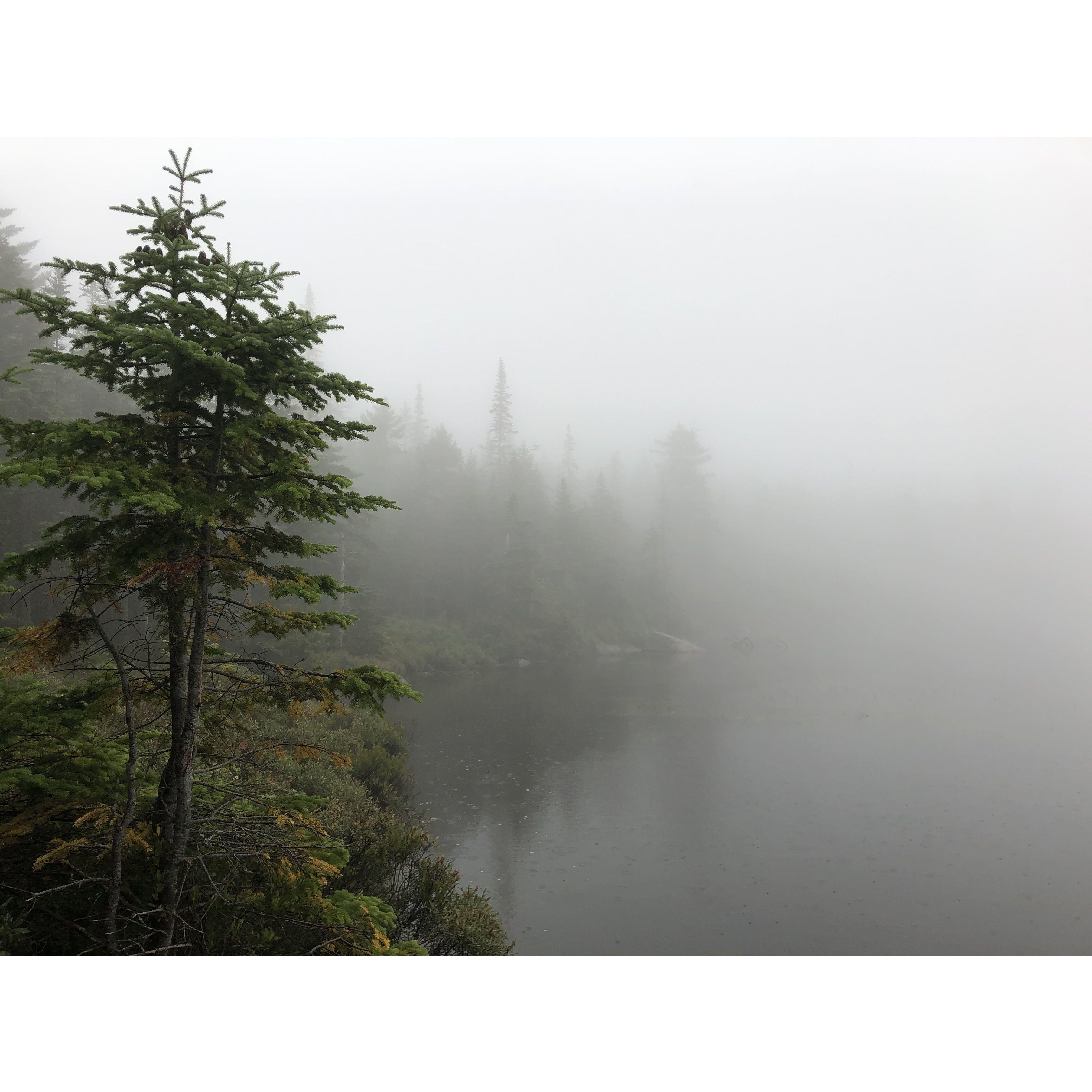 We took this pic during our first hike together at Lonesome Lake. It was very foggy, but that made it more beautiful. (And they'd see it without fog the following year!)