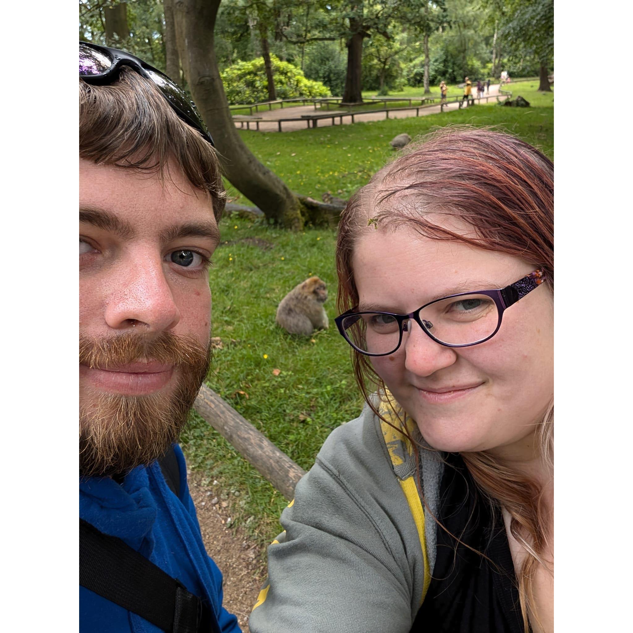 Exploring Trentham Monkey Forest (in the rain)