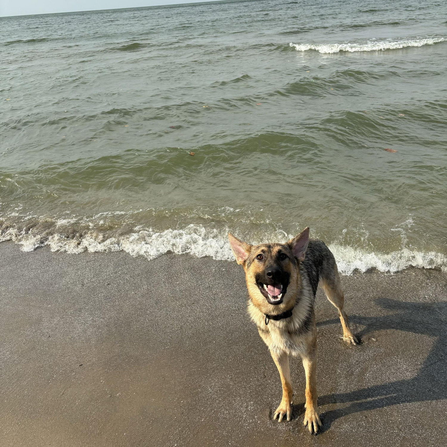 his favorite place in the world