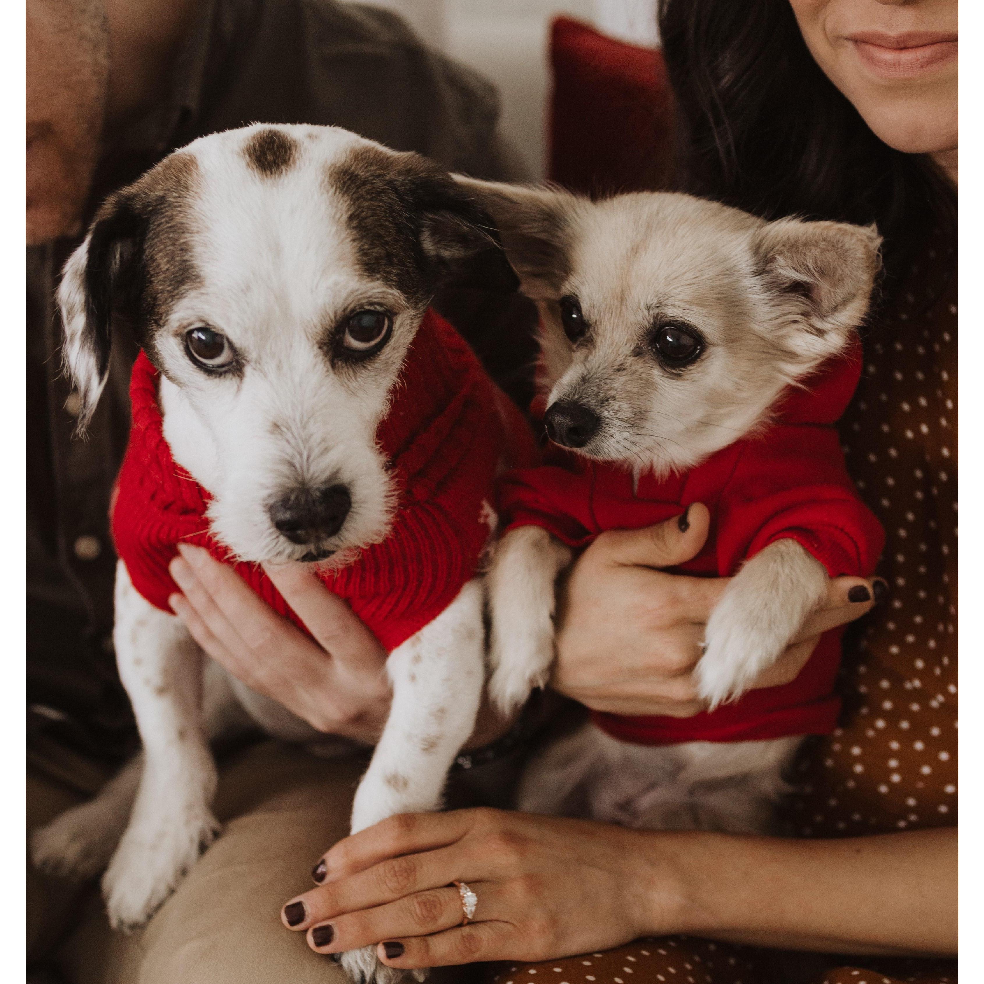 Mom and Dad are getting Married. - Nena and Eros