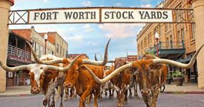 Fort Worth Stockyards