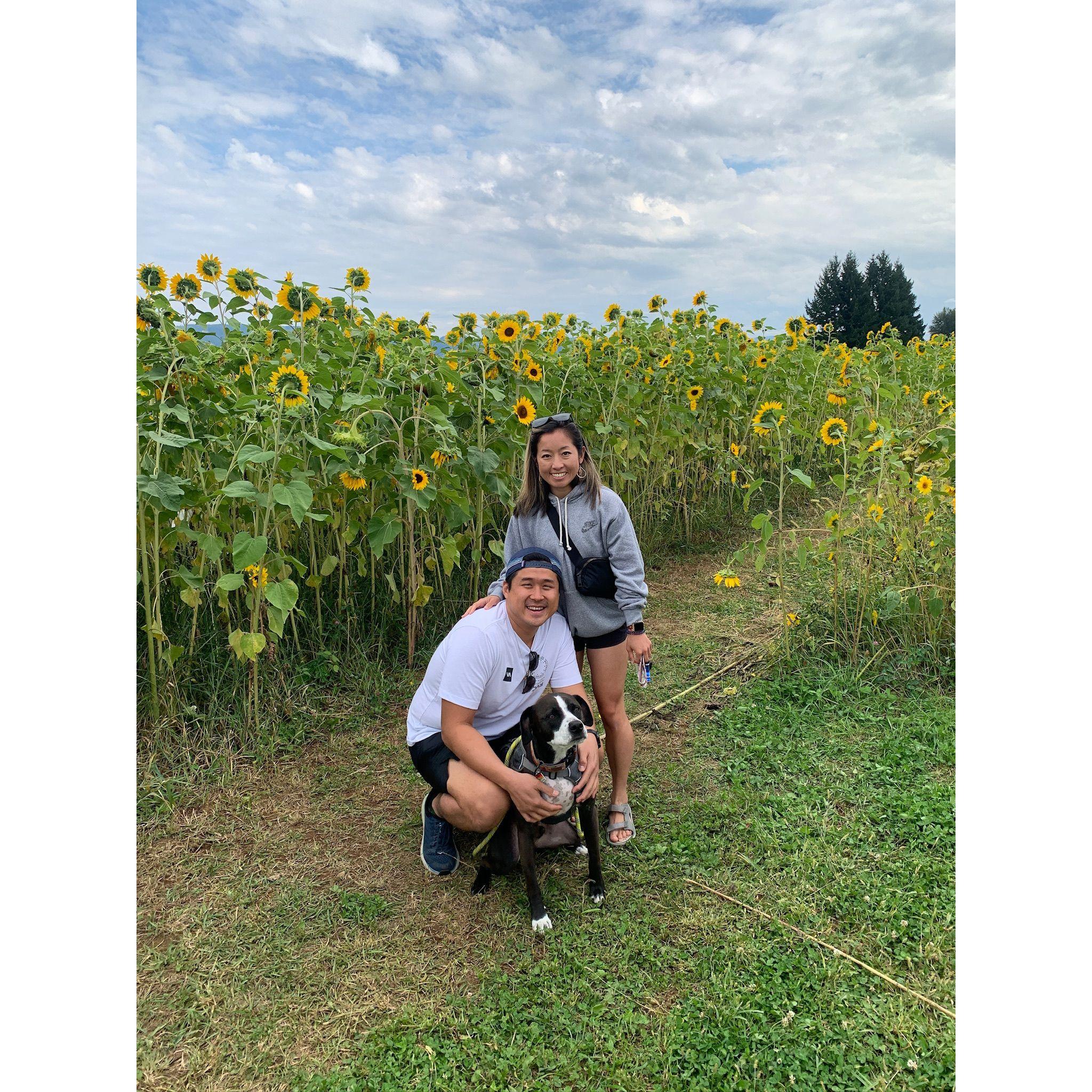 Grateful Winery, Mt. Hood, OR - 2022