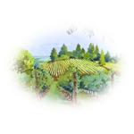 Wine Tasting
