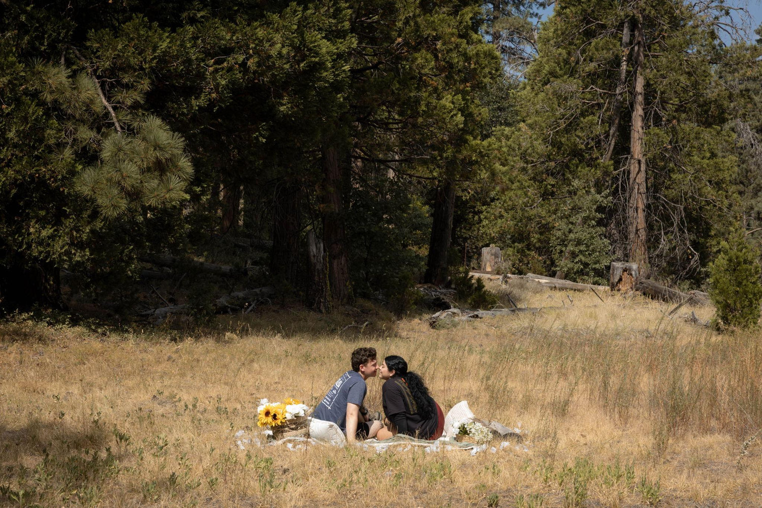 The Wedding Website of Alexa Pankratz and Sebastian Hendrickson
