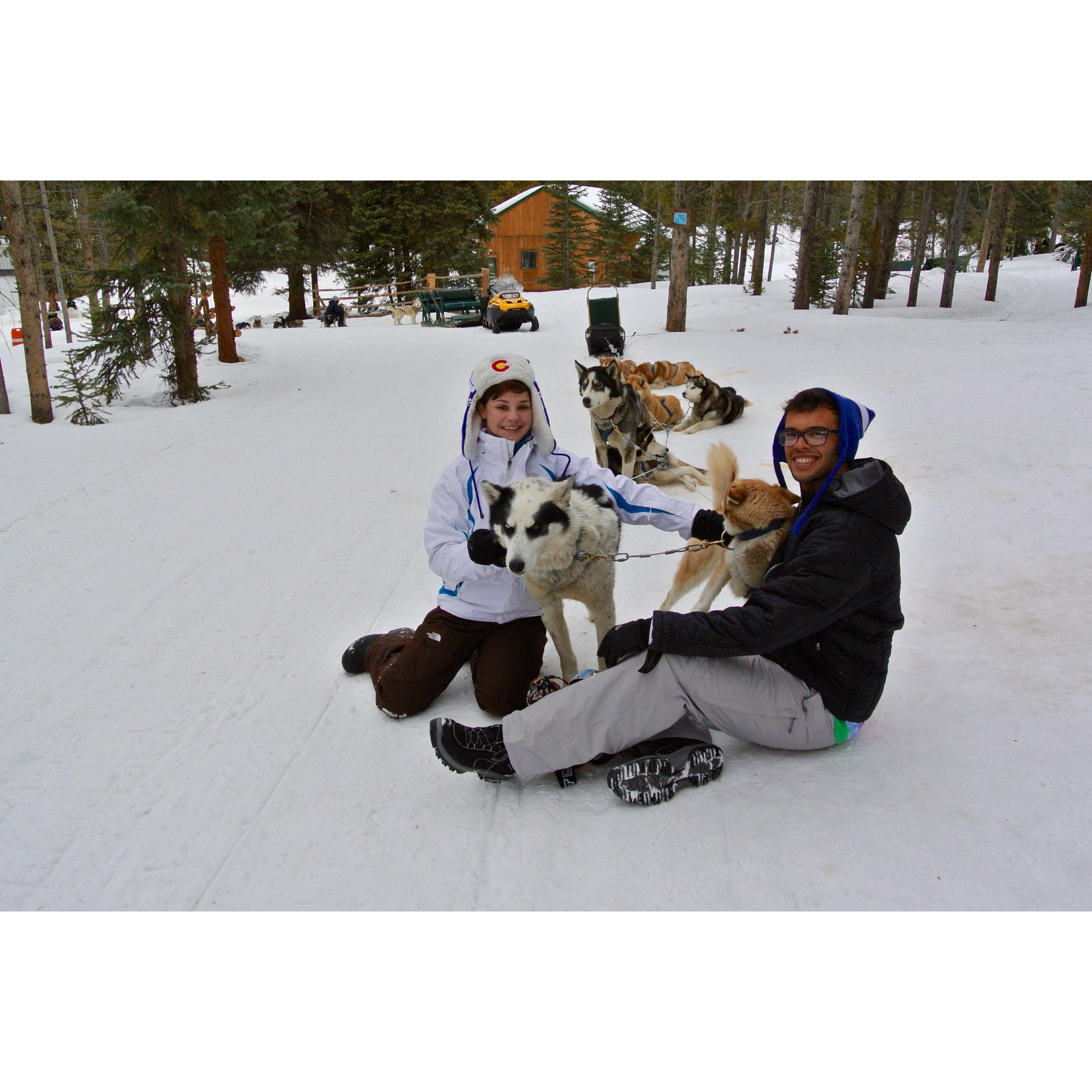 Dog sledding in Breck