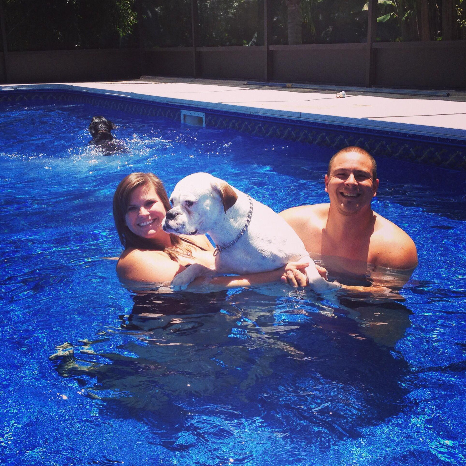 Teaching Kush to swim 2014
