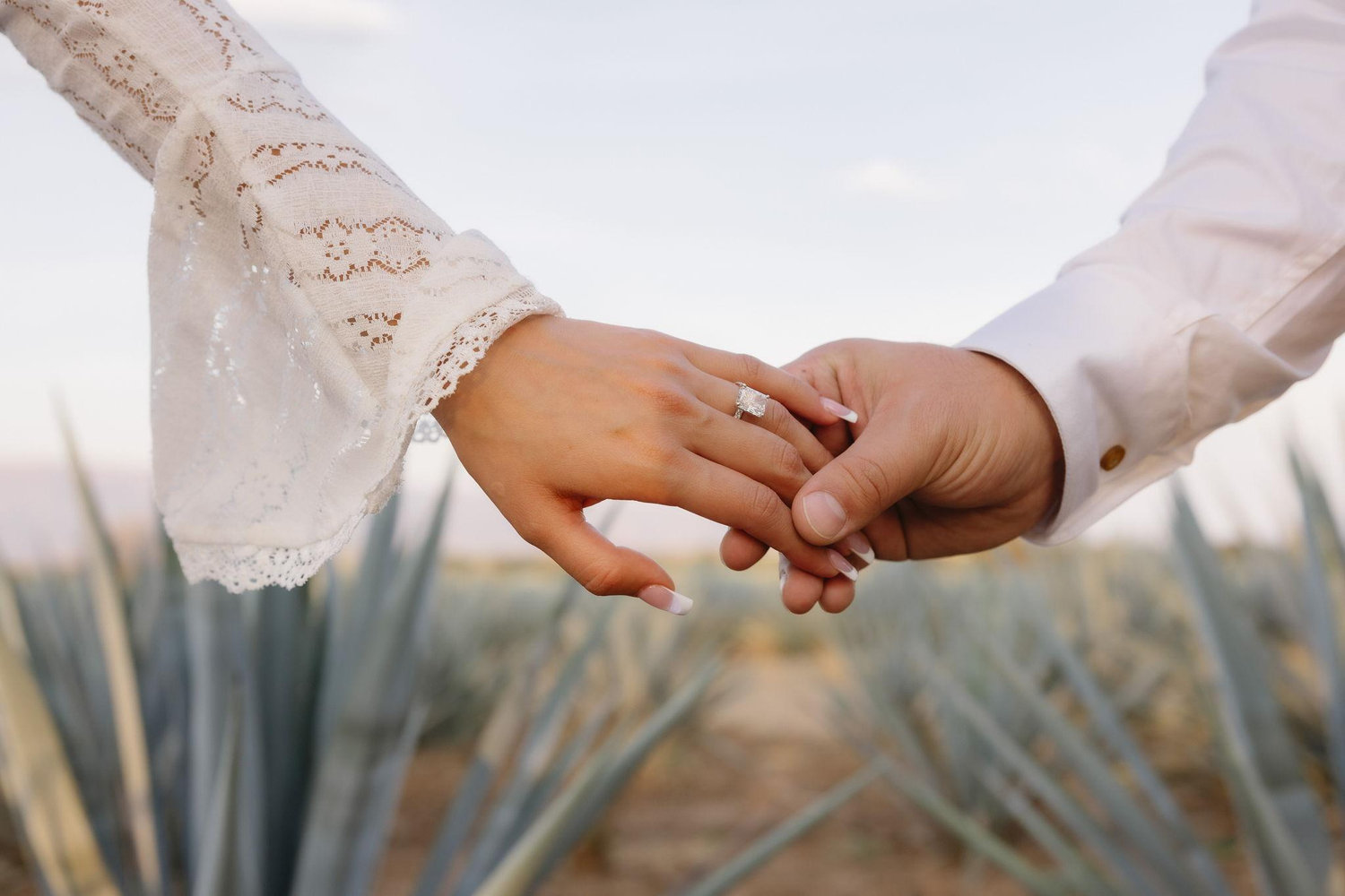 The Wedding Website of Melani Rubio and Moises Razo