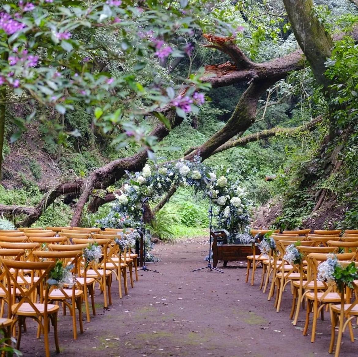 The Wedding Website of Alex Yaxon and Evelyn Norman