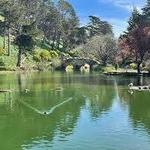 Golden Gate Park