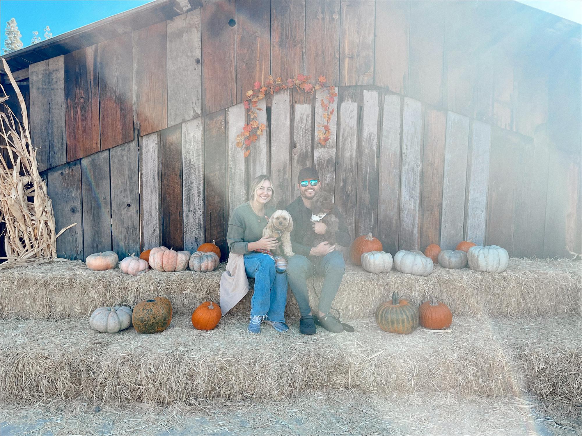 Our first family photo with Zeus AND our new puppy Ziggy.