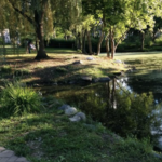 Heckscher Park