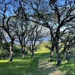 Hike the Franklin Ridge Trail