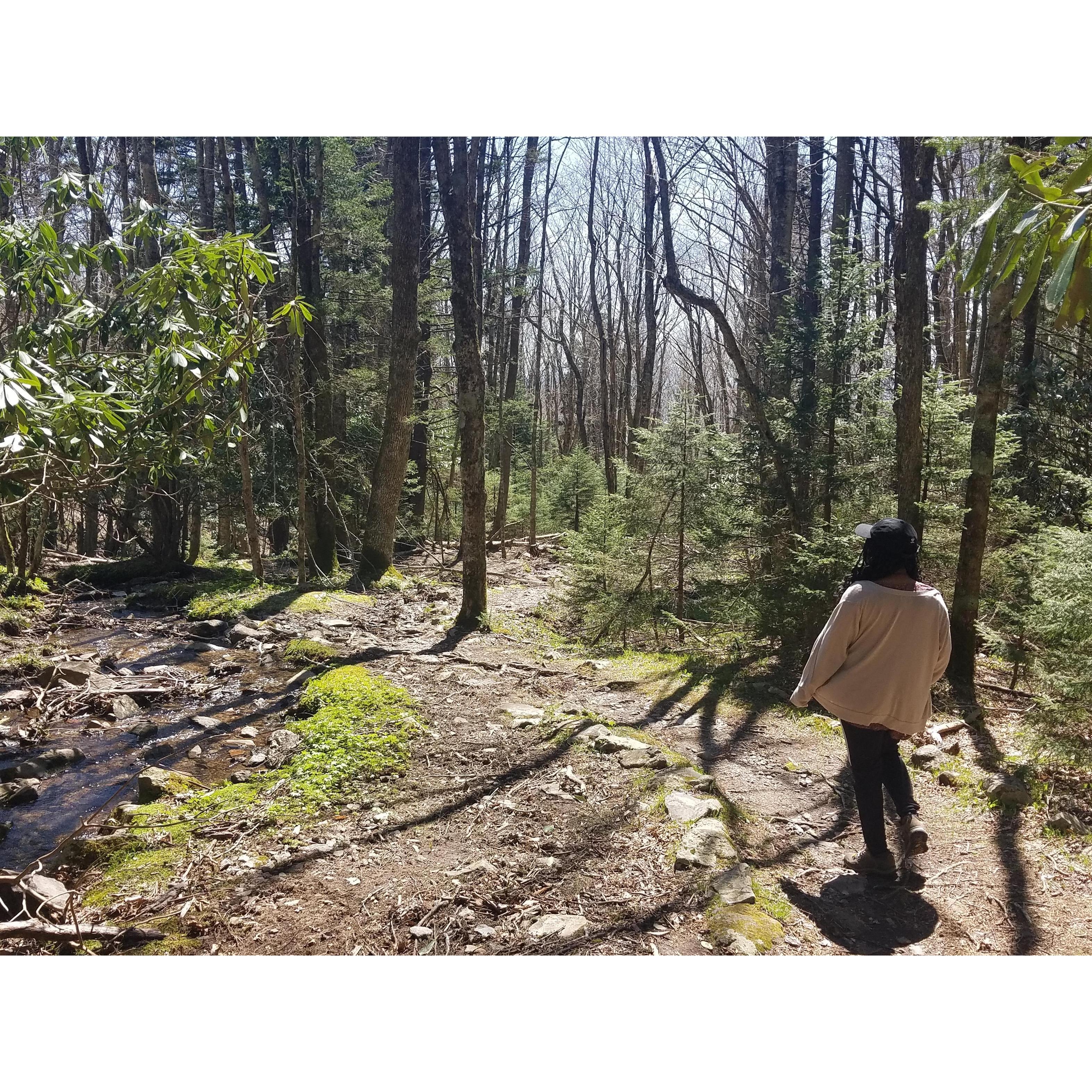 A mountain trail in the Carolinas. It was a lot colder than we thought it would be.