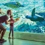 SeaWorld San Antonio