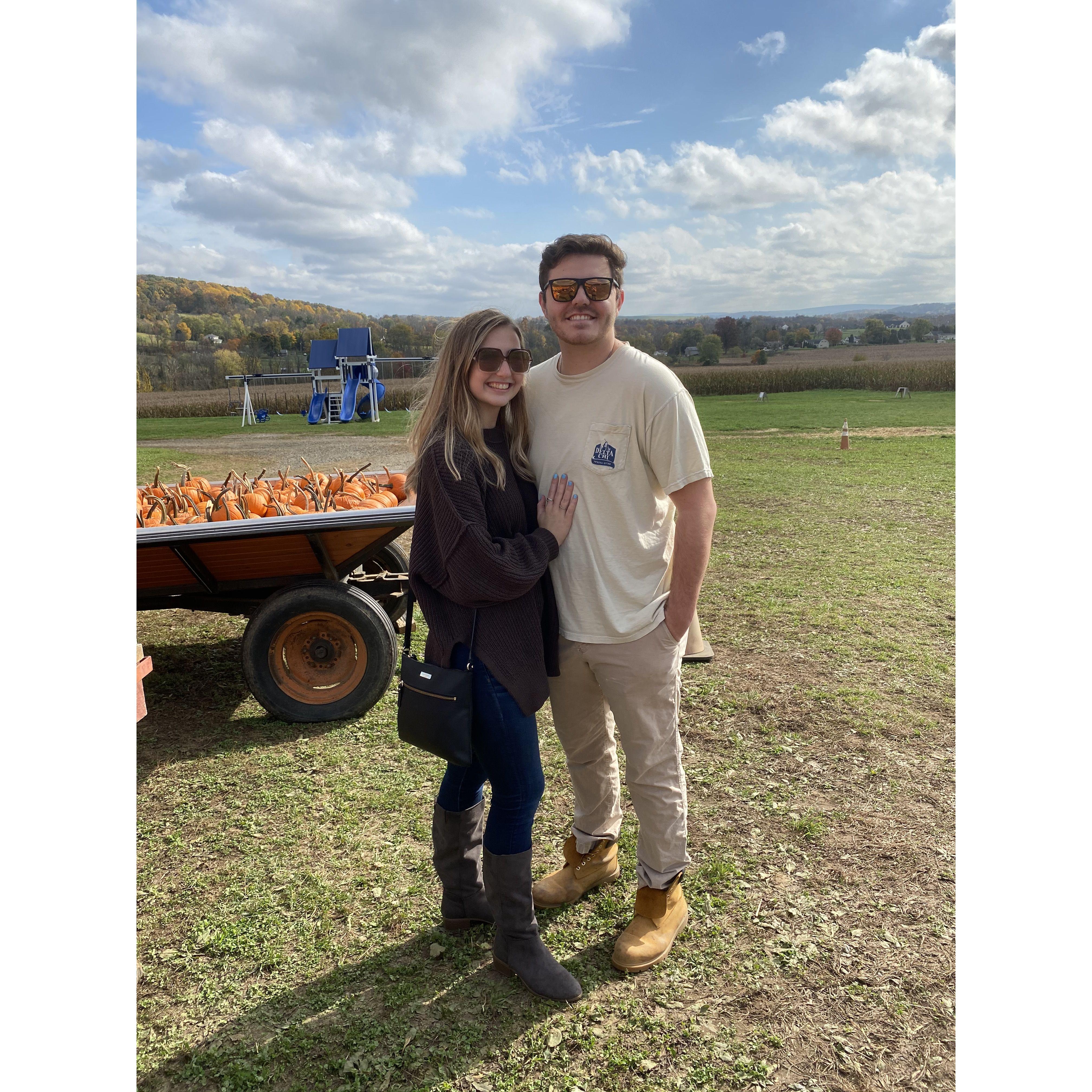 Pumpkin picking for Halloween 2020.