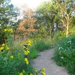 Eloise Butler Wildflower Garden and Bird Sanctuary