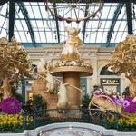 Bellagio Conservatory & Botanical Gardens