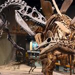 Denver Museum of Nature & Science