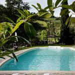 Relax by the pool with a cocktail