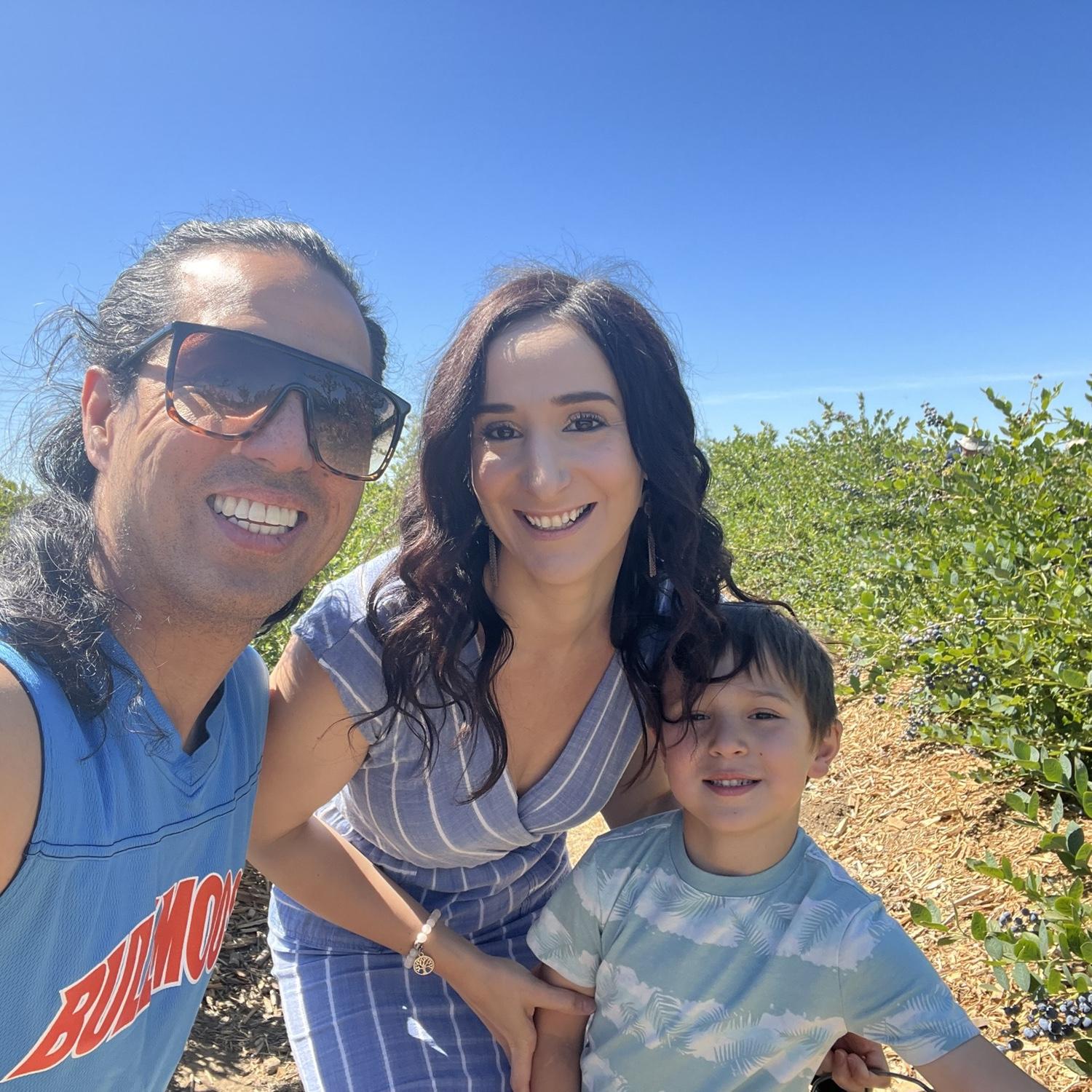 Blueberry picking