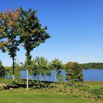 The Vineyards at Pine Lake