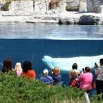 Mystic Aquarium