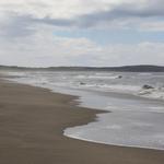 Salmon Creek State Beach