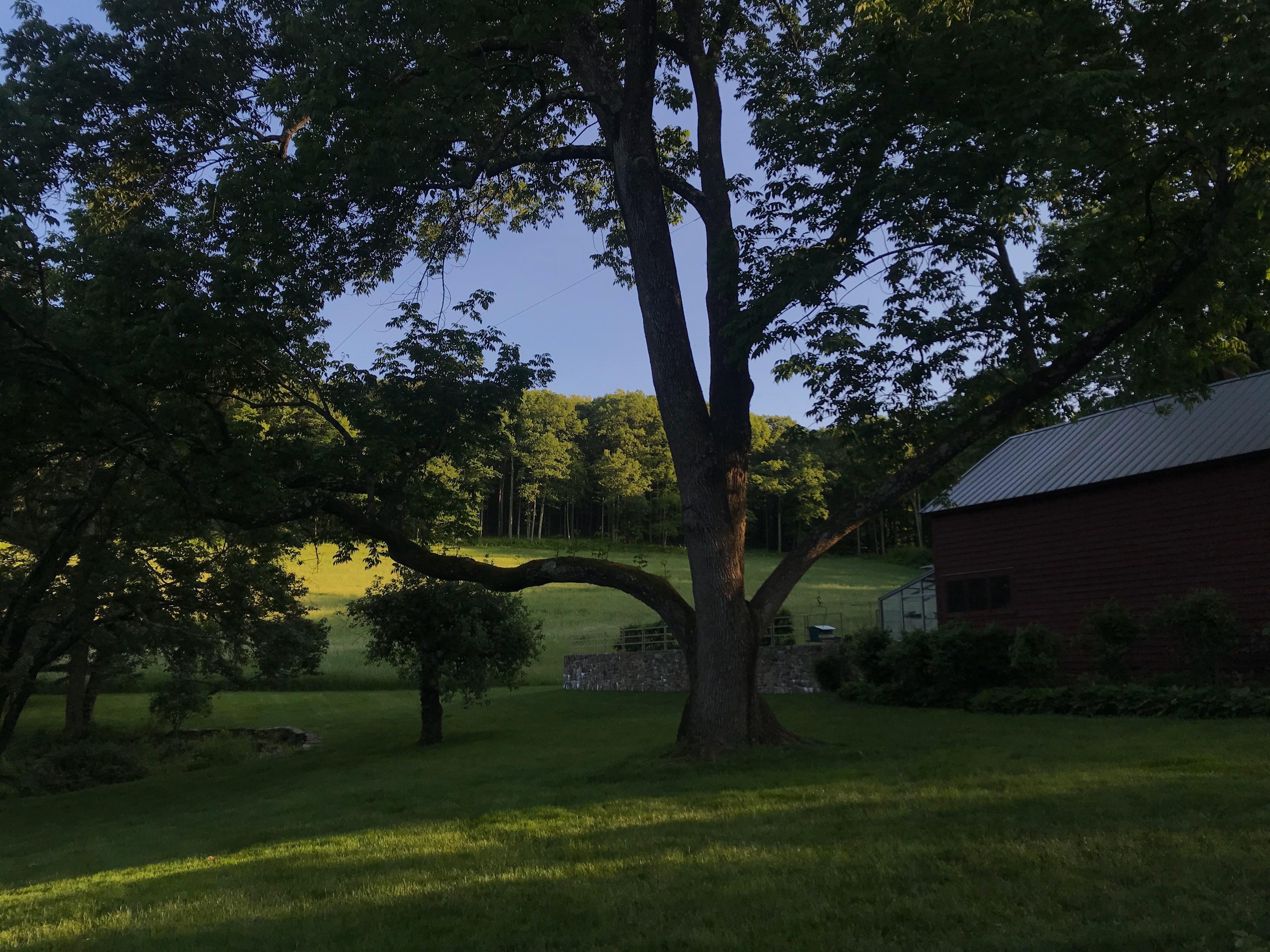 The Wedding Website of Kyle Georgina Marsh and Micah J Chervin