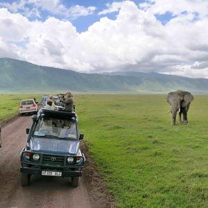 Two-Day Ngorongoro Crater Visit