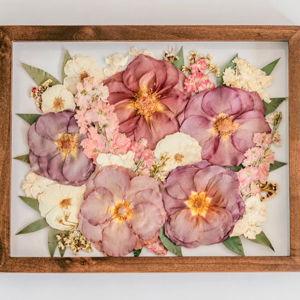 White Poppy Preservation