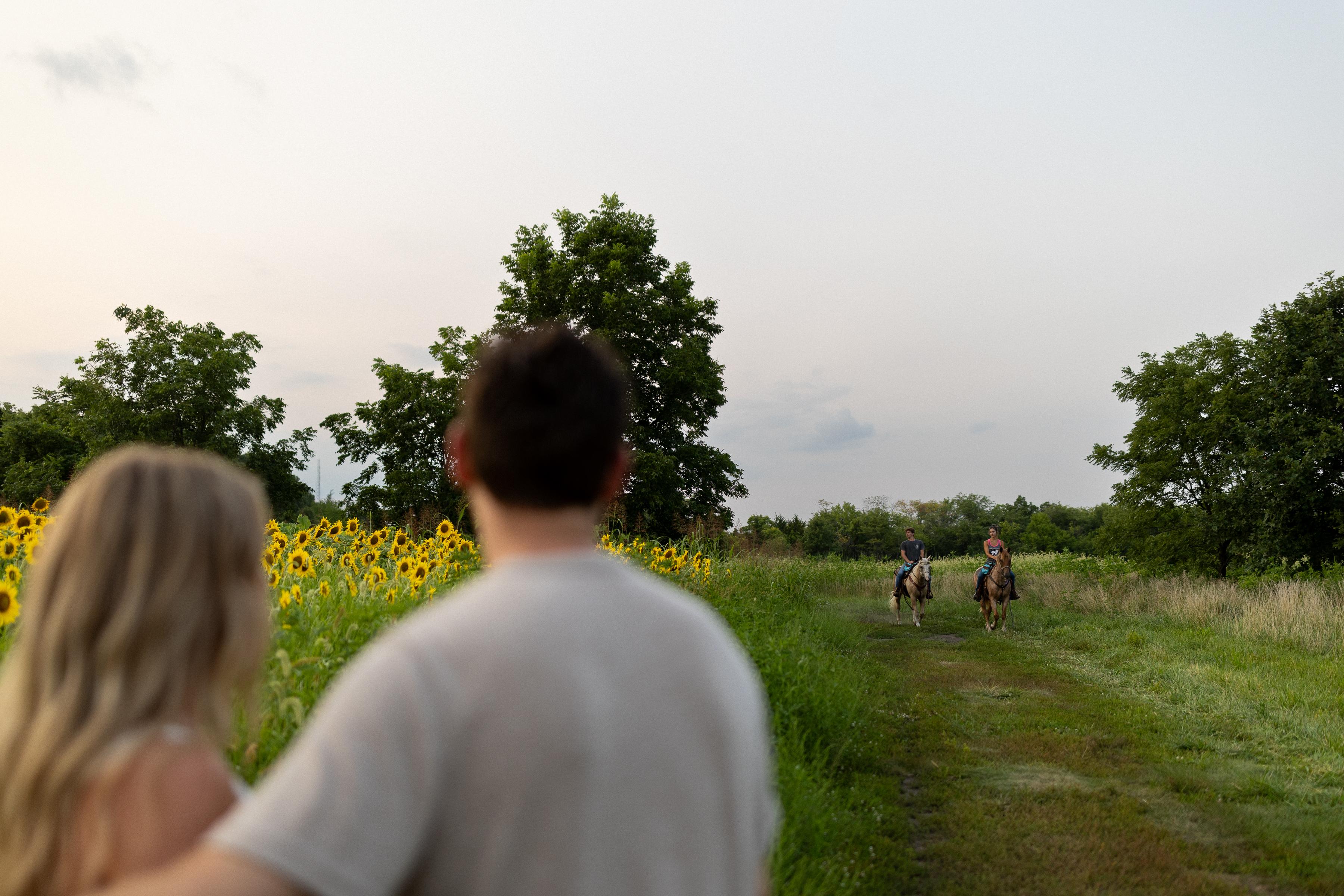 The Wedding Website of Jenna Oswald and Matthew Salamon