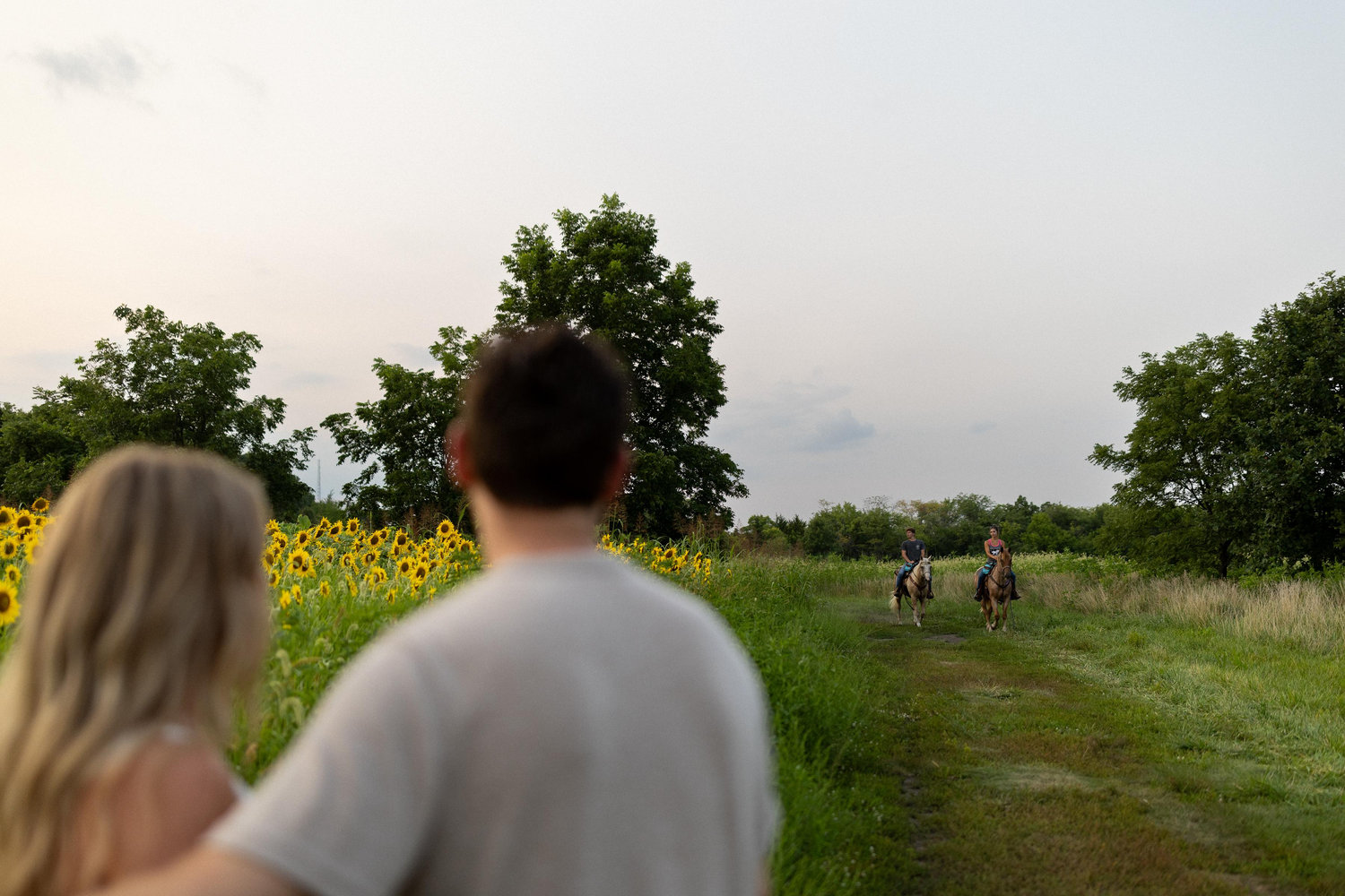 The Wedding Website of Jenna Oswald and Matthew Salamon