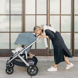 UPPAbaby Vista V3 Stroller