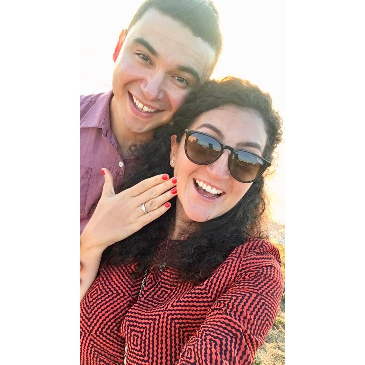 The proposal in Carlsbad Beach in San Diego