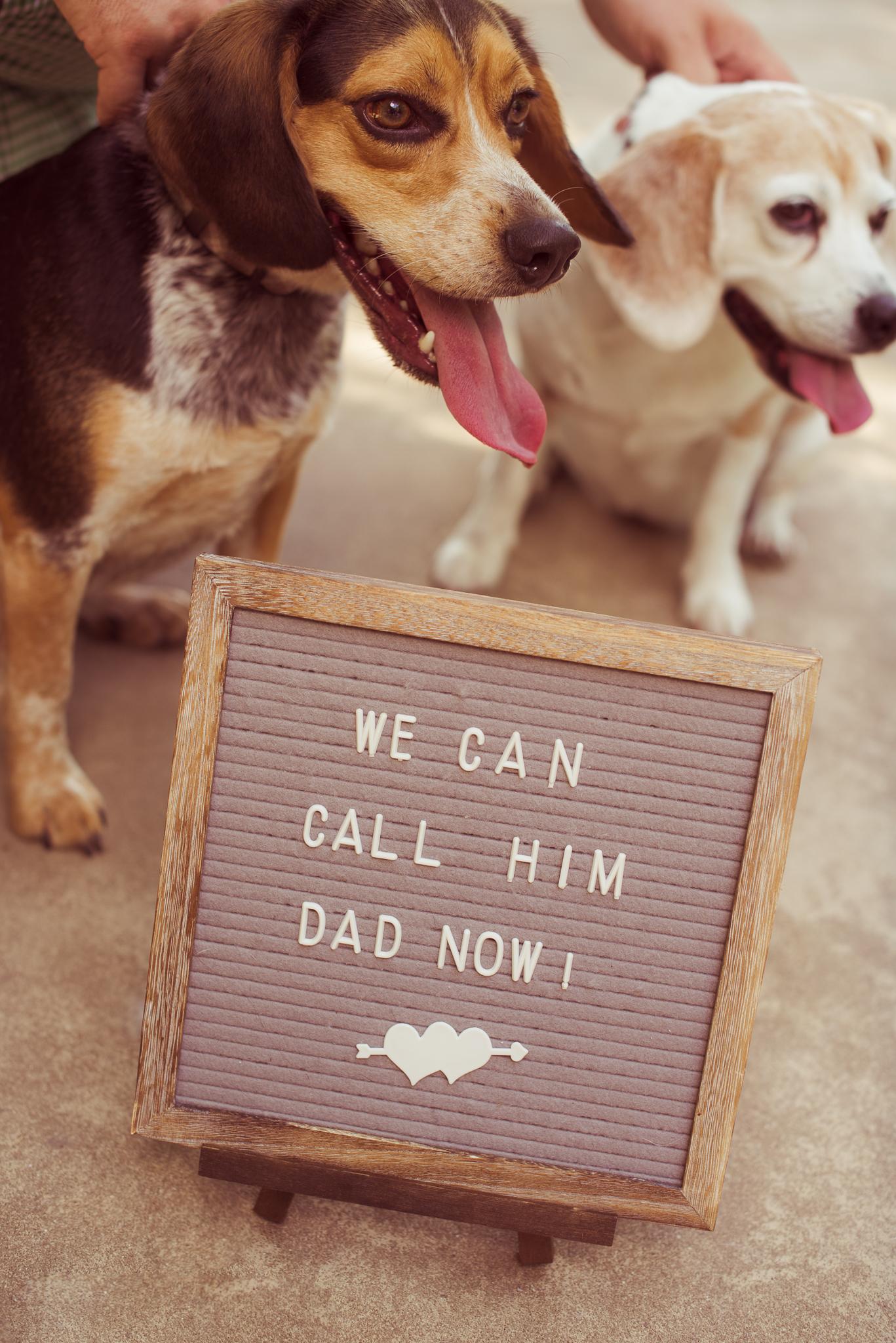 The Wedding Website of Catherine Click and Nathan Watkins