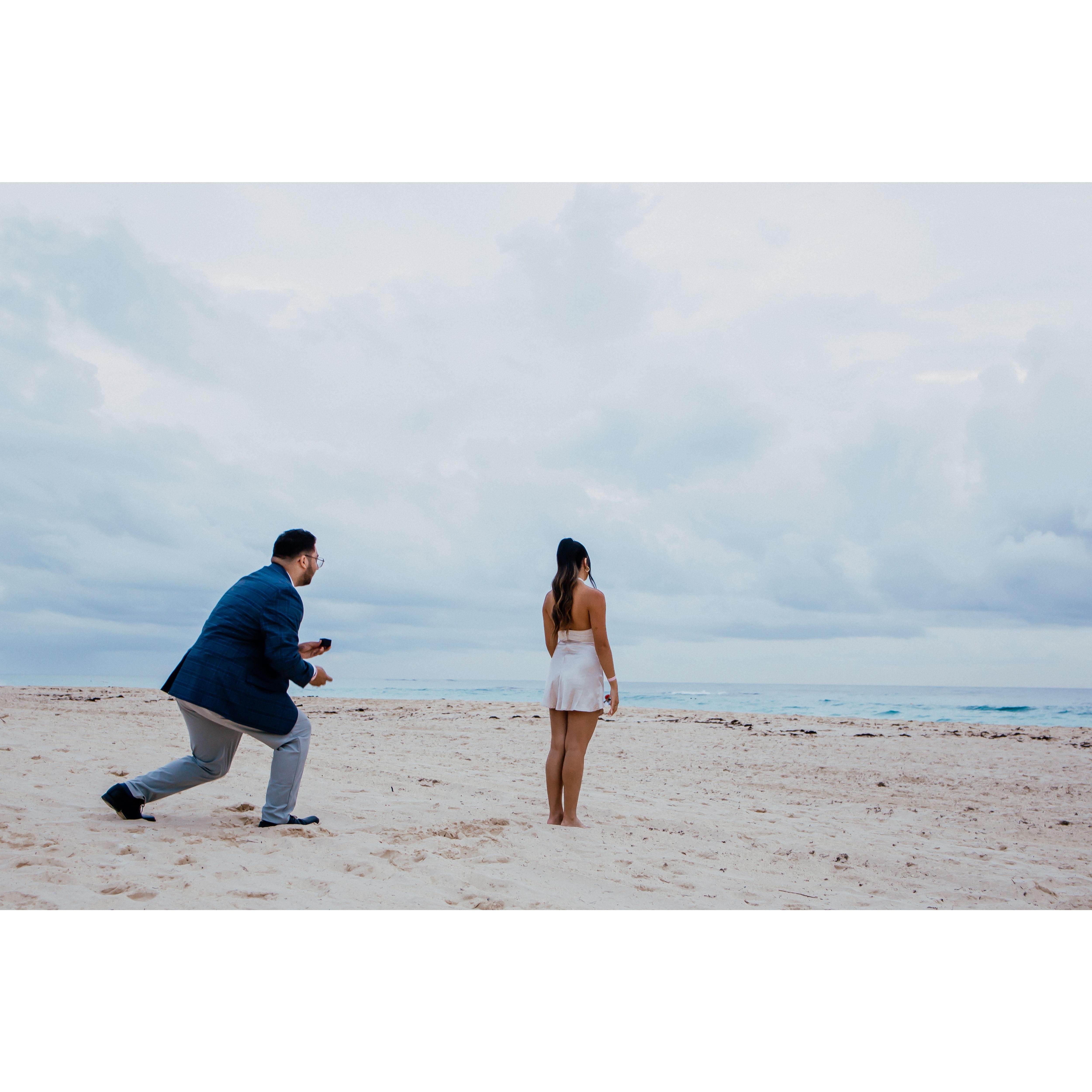 Ahmed said he was going to take Theresa's picture from the back as she is looking at the sunset.. To her surprise, he was getting onto one knee!