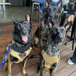 Tarantula Hill Brewing Co.