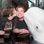 Shedd Aquarium