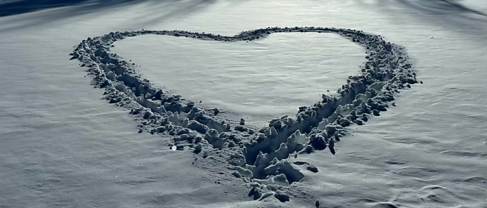 The Wedding Website of Aurora Vincent and Samuel Burkett