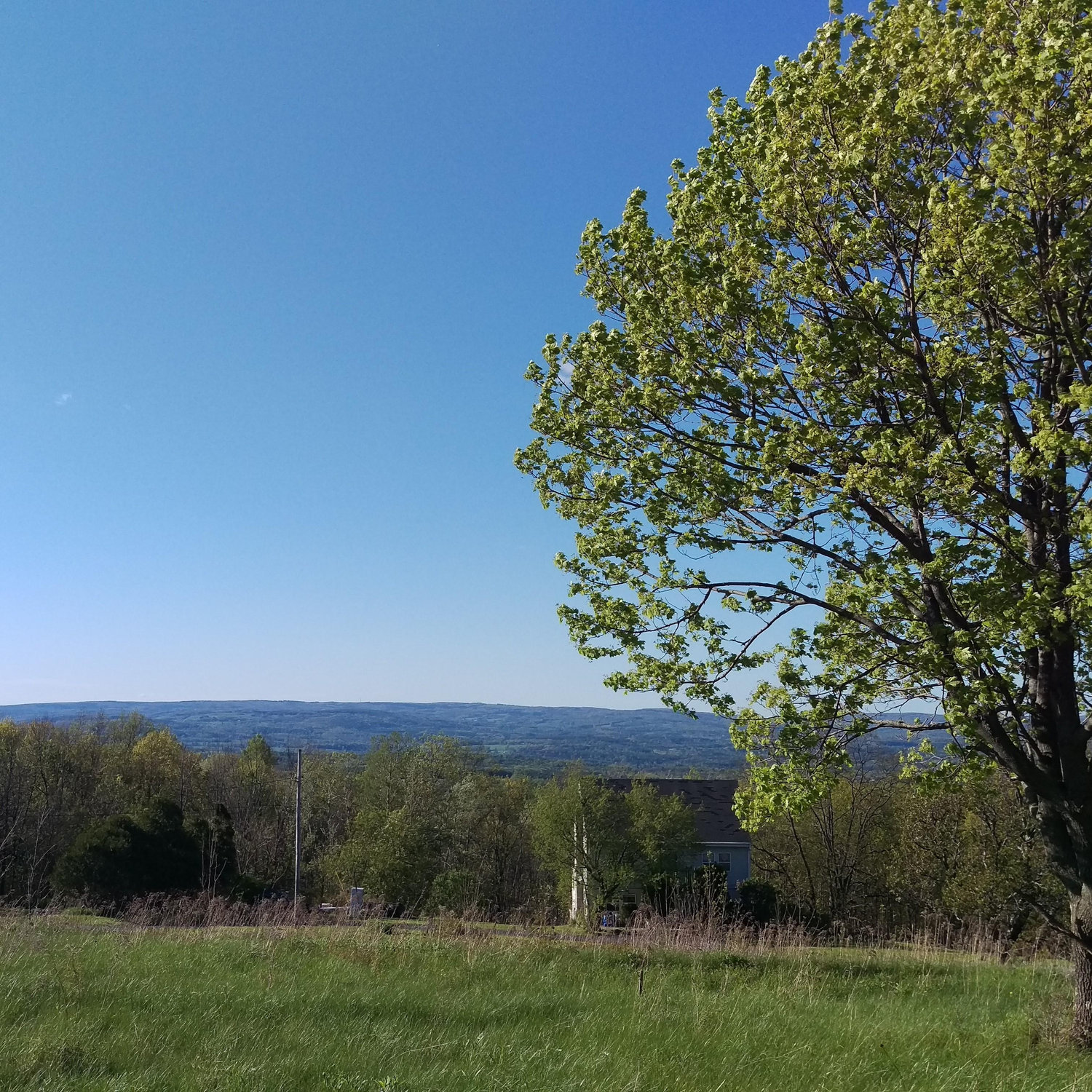 Our little slice of paradise - 1 acre of vacant land with a wonderful view of the Durham Valley. We're going to build a house here someday!