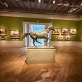 Virginia Museum of Fine Arts