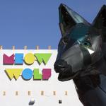 Meow Wolf
