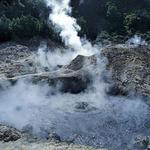 Sulphur Springs